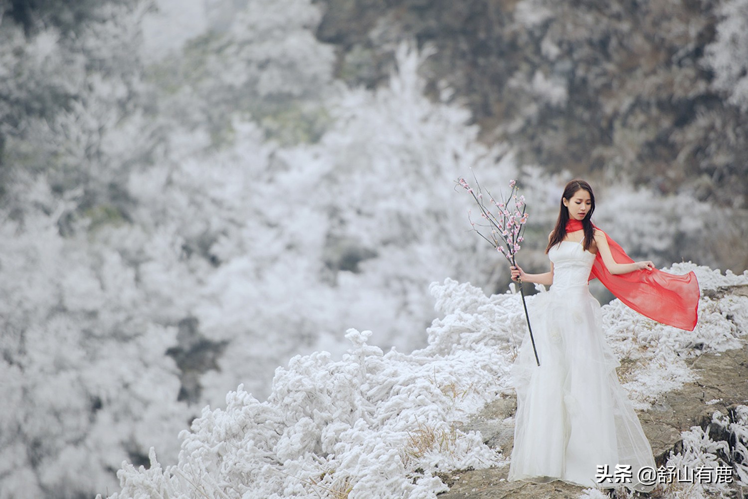 一个人的一生一定要有个红颜知己,世上最美的是爱情