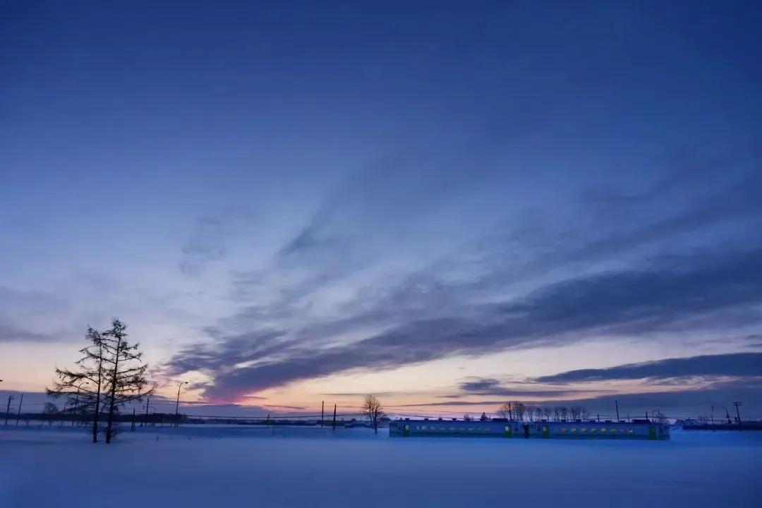 每周摄影作品全集,摄影作品展活动4k视频