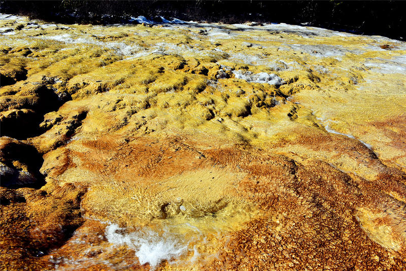 置身于童话中的九寨沟,畅游人间仙境黄龙九寨沟七日游