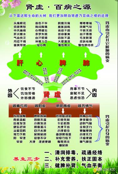 中医肾虚腰痛的病因病机,肾虚的10大病因