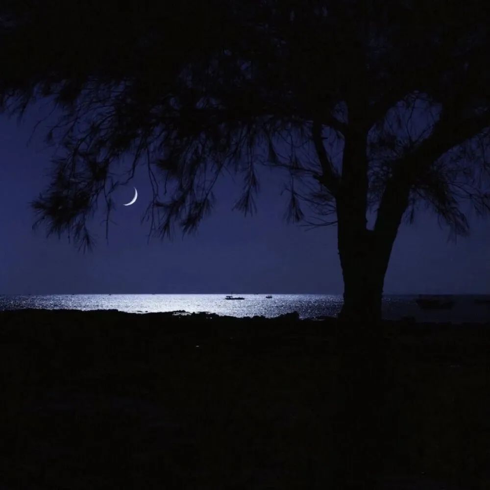 伤感到绝望的背景图,失望伤心到极致的背景图