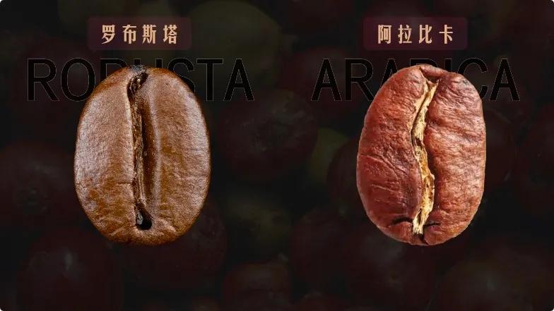 最好喝的冻干咖啡测评,十大好喝的冻干速溶咖啡排行榜