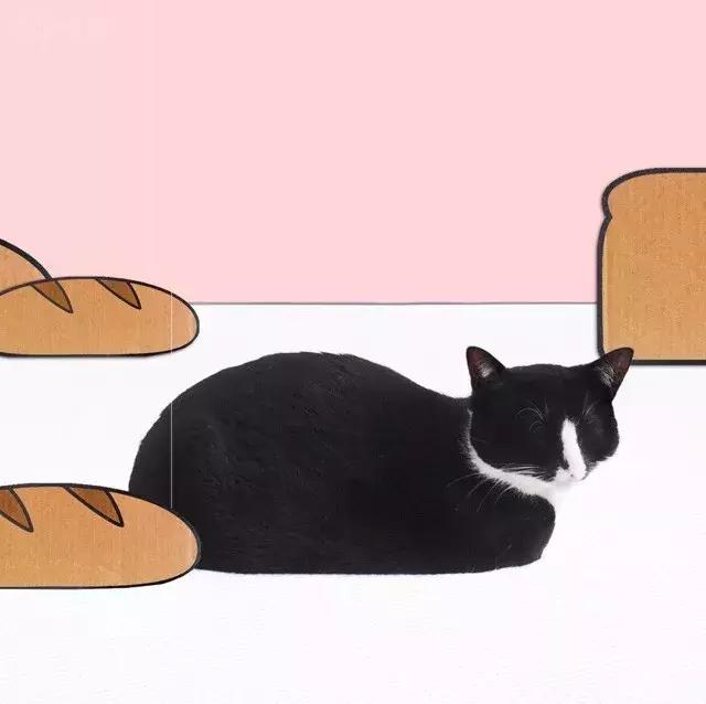 西瓜霜喷剂可以给猫咪治疗耳螨吗,猫咪耳螨药推荐背后的故事