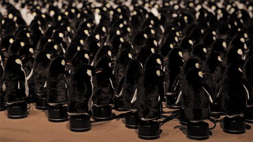 想做个公众号怎么做,想做一个公众号怎么办