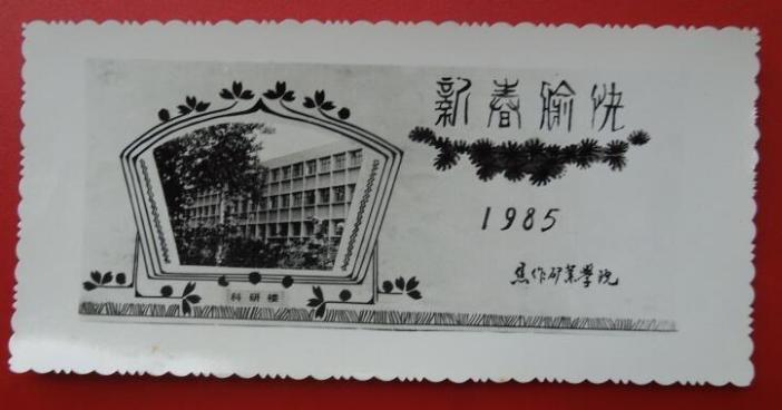 70后眼中的大学091之河南理工大学——河南理工第一强