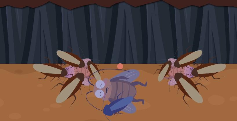 世界害虫日科普,世界害虫日