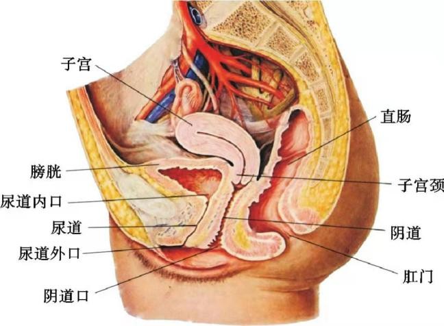 有盆腔积液就是盆腔炎吗,有盆腔积液就是盆腔炎么
