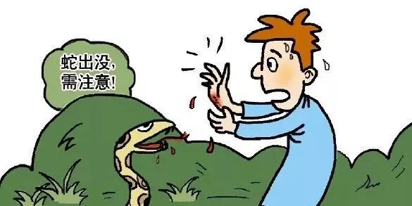 村民家中惊现2米长眼镜王蛇,近3米长眼镜王蛇出没