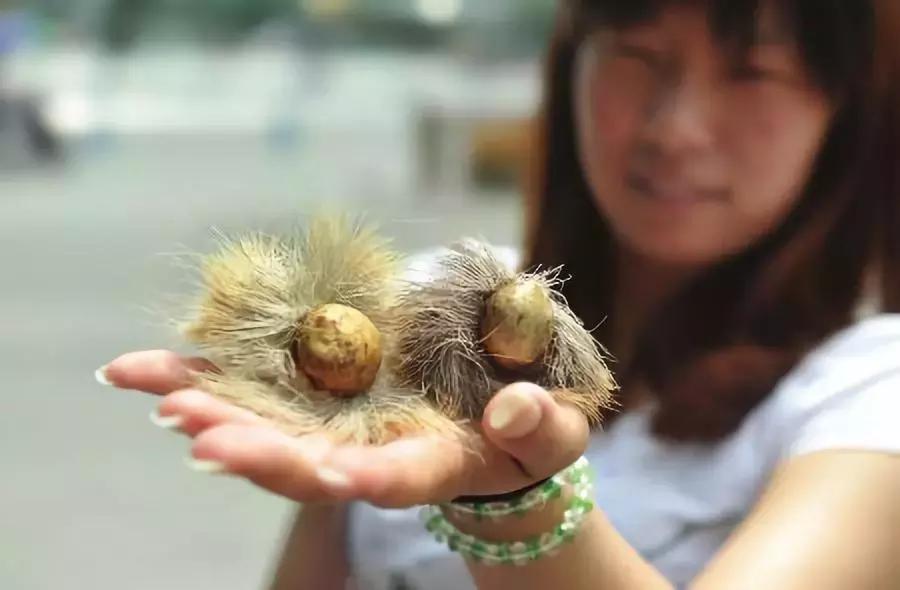 抹了这种药膏,两个小时后孩子就掉了,76%的孕妇都可能中招