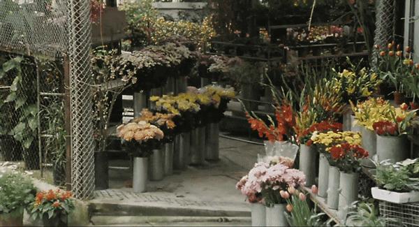 七夕丨由爱恋家，有家有爱有涂奈克