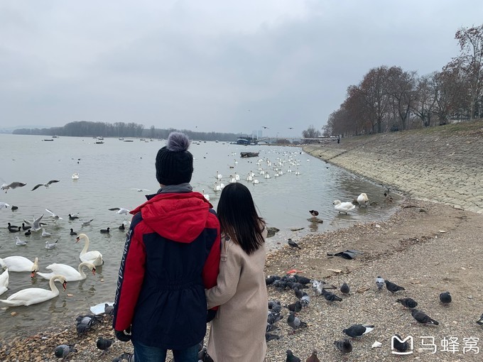塞尔维亚游记,难忘的欧洲之旅