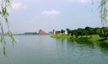 松山湖片区最新房价,松山湖片区有什么楼盘