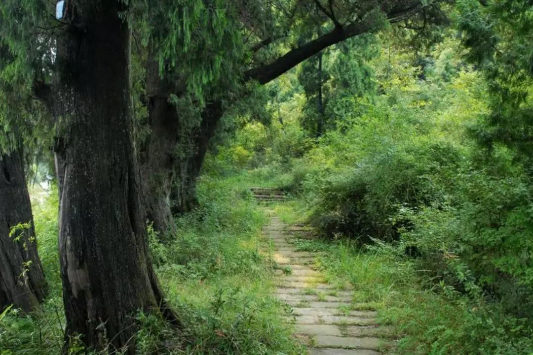 历史上最神秘的宾馆,中国酒店诡异事件