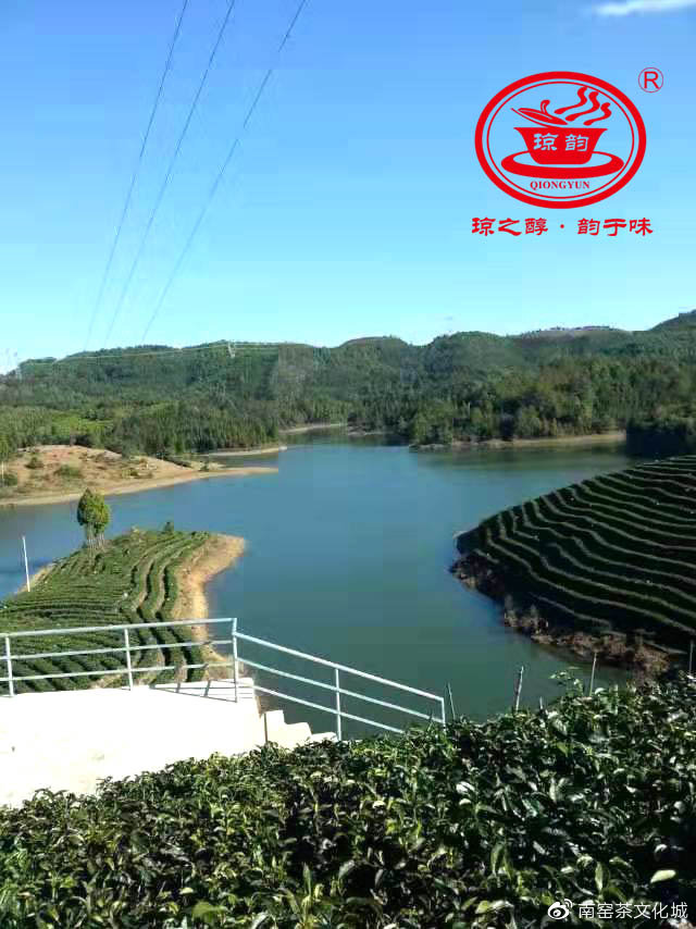 琼之醇茶业,琼之醇茶业图片