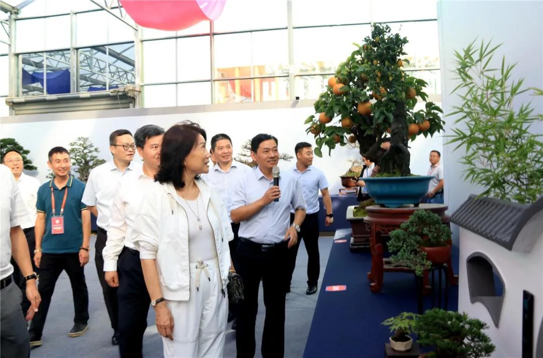 宿迁市沭阳县沭阳国际花木城,沭阳国际花木城布局