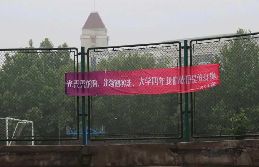 高校走心毕业标语惹哭网友,高校走心毕业季标语惹哭网友