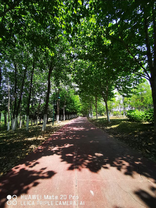 大美滨湖全景图,合肥滨湖塘西河公园美景