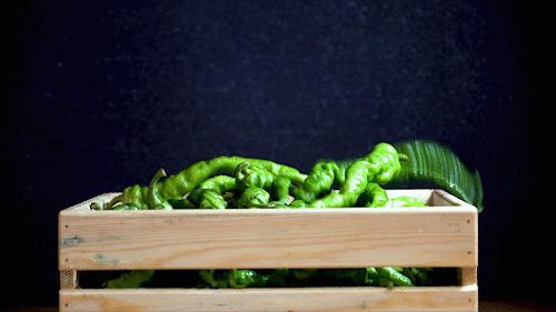 从长沙走出去的湘菜品牌,湖南本土湘菜馆品牌