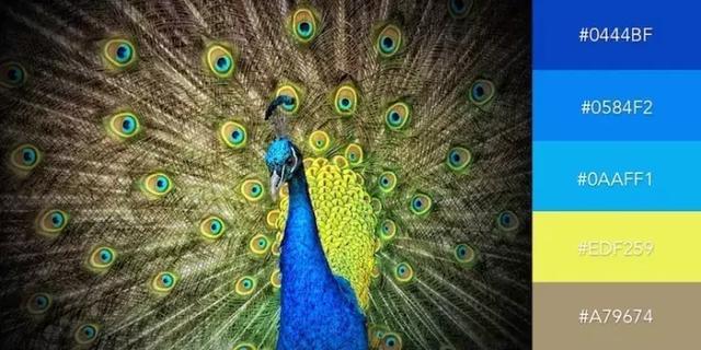 999张照片模板,999999999的创意图片