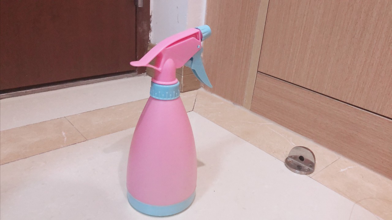 养猫家庭如何消毒杀菌对猫无害,要如何预防猫咪误食家中植物中毒