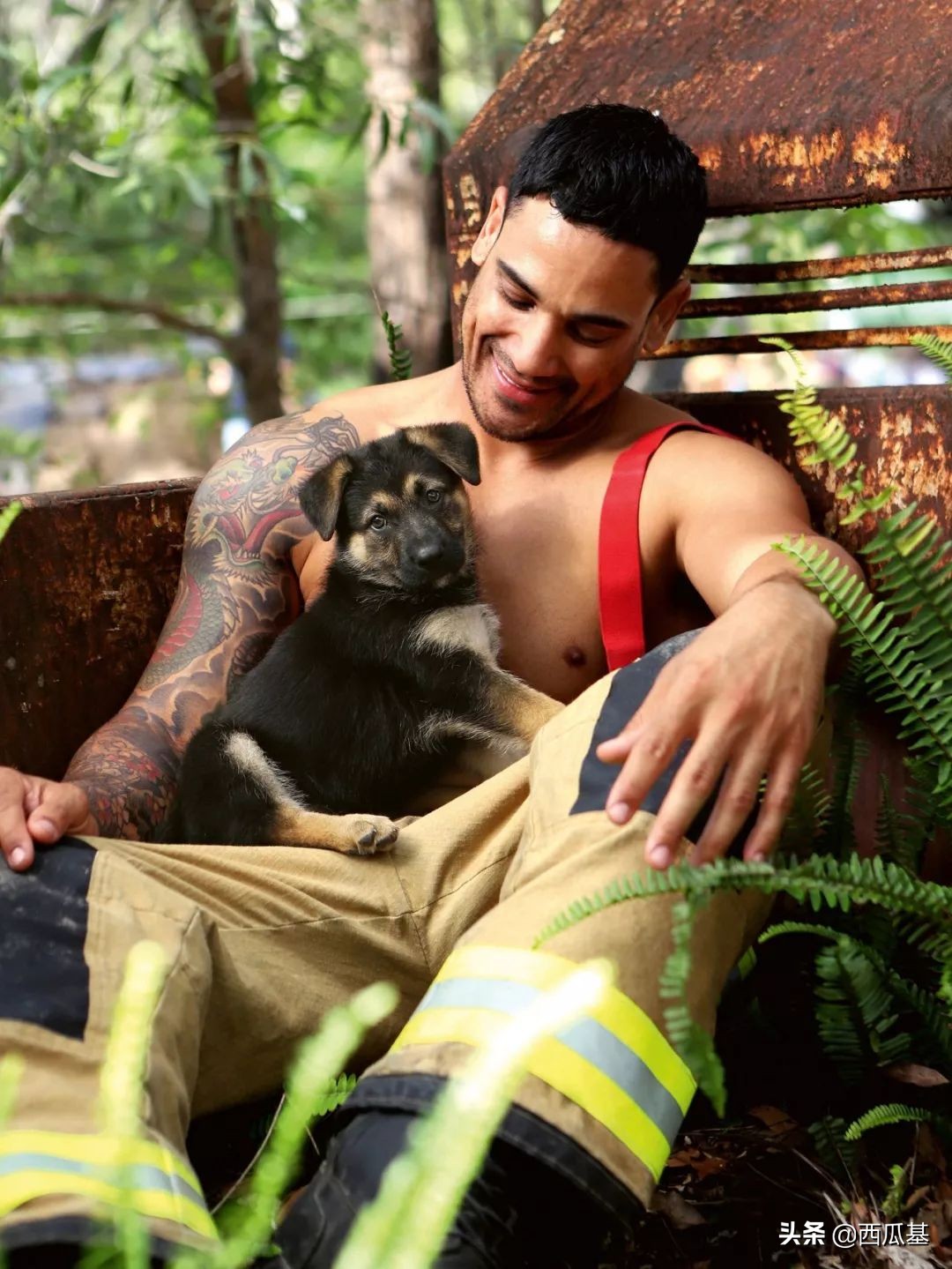 新鲜日历出炉，性感帅哥被萌宠们抢镜了