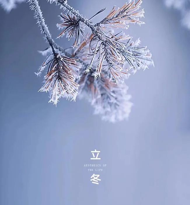 立冬的100首诗,凛冬将至北风呼啸