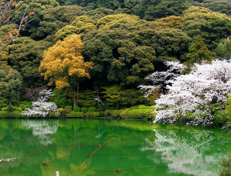 中国游客超少的旅行地,日本人的天堂,不裸不得进!