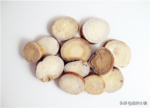 白芍种植技术与价格,中药材种植白芍的前景如何