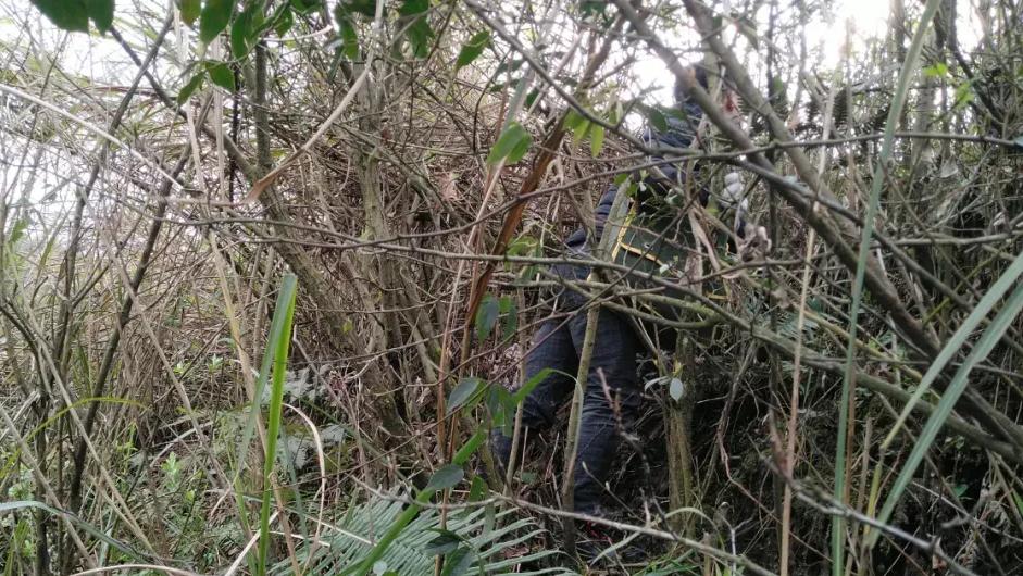 测绘专业职业精神,测绘人的精神口号有哪些