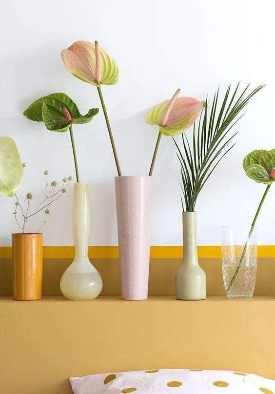 家里要有氛围感什么花比较好,家里高级的花