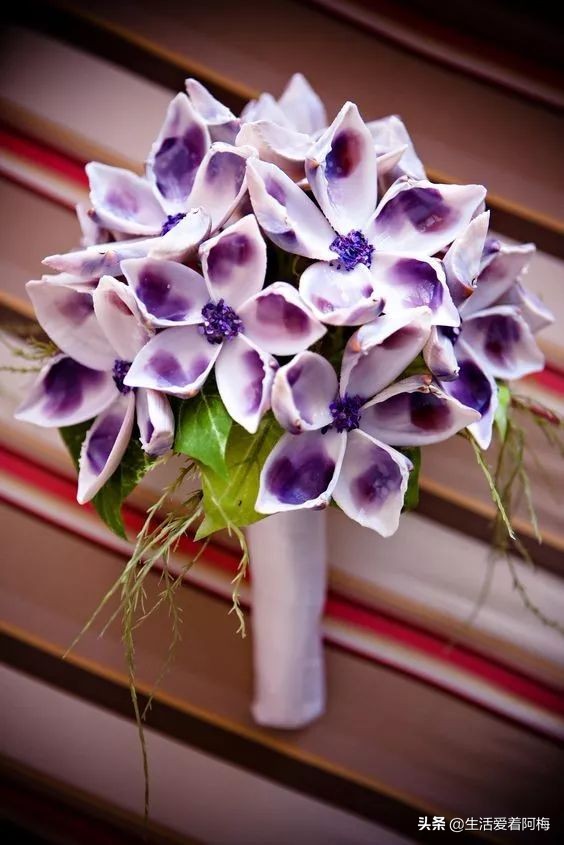 在贝壳里做上好看的装饰,简单的贝壳的工艺品