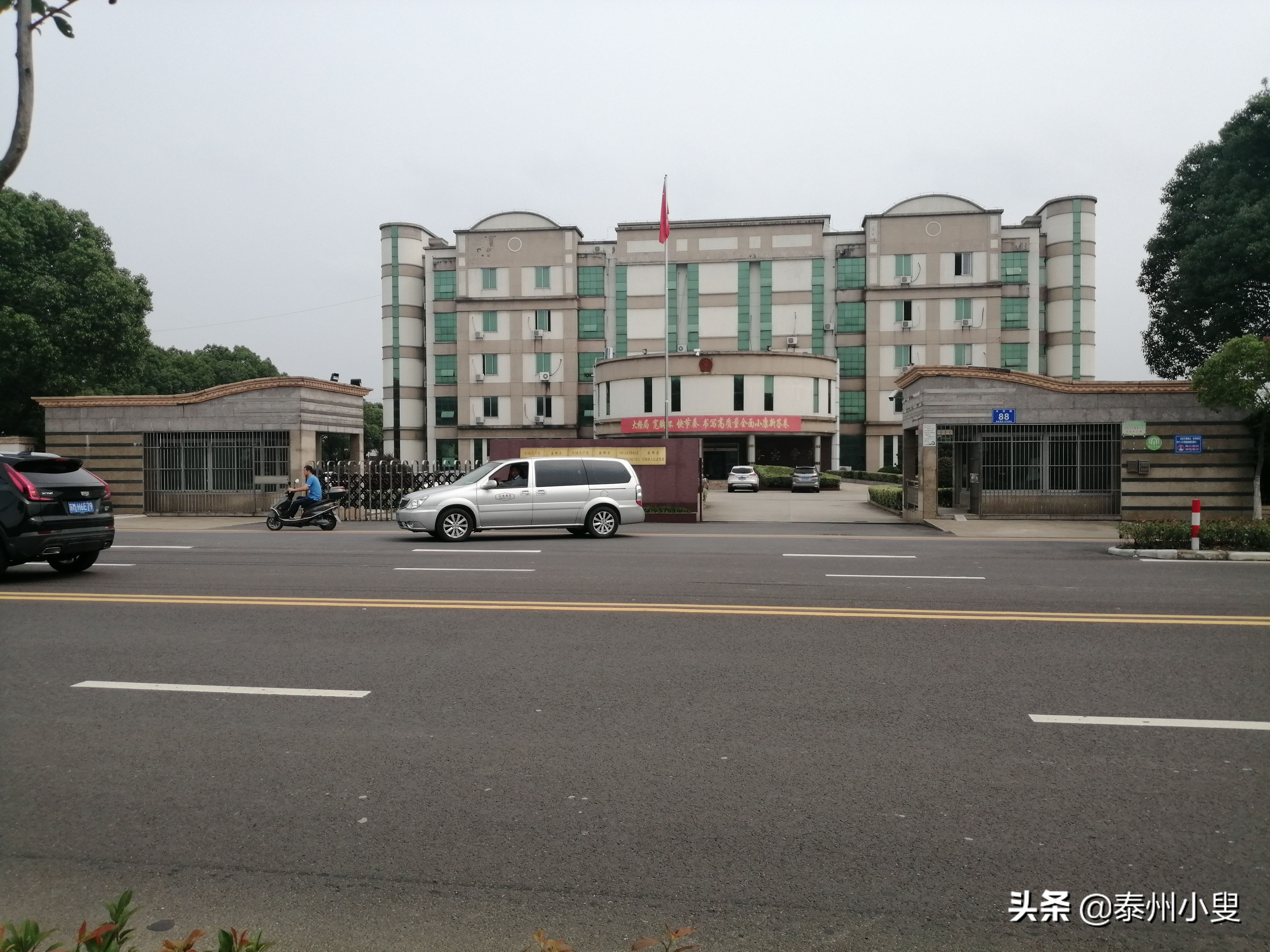 骑行槐林赏美景,骑行赏花视频