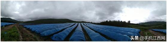 汇仁品牌产品直供,汇仁工厂供应链