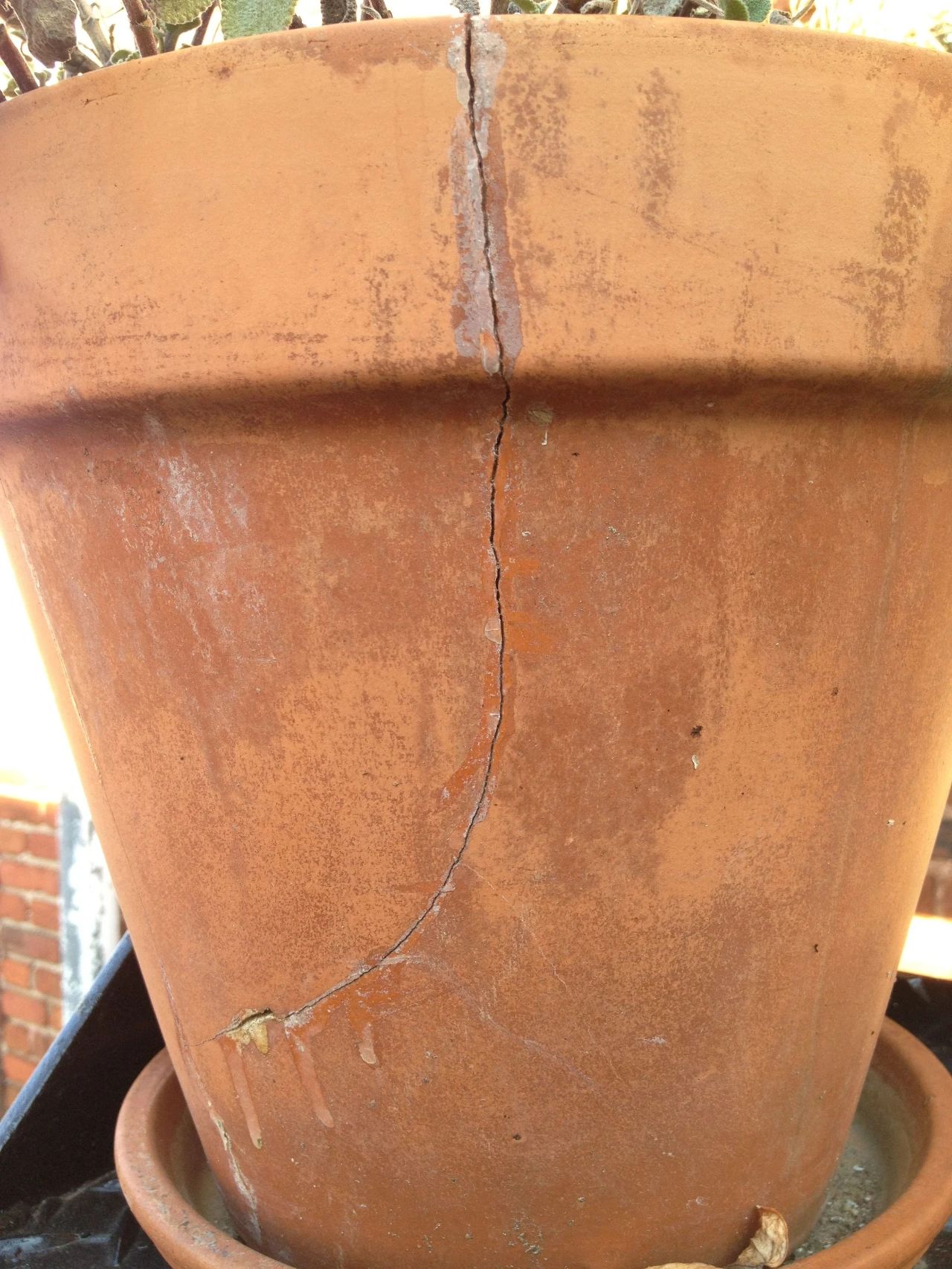 最便宜的土陶盆,透气性最好的陶盆