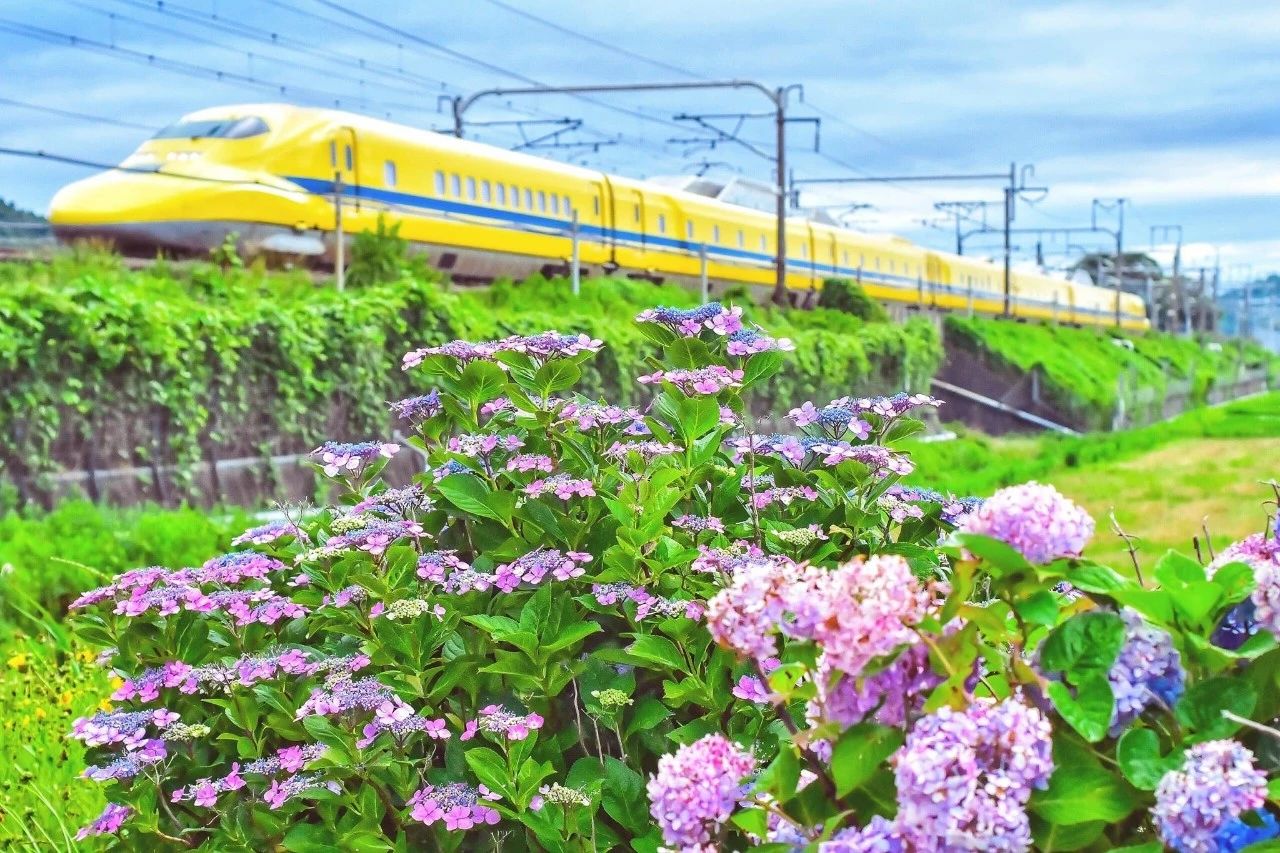 东京蝉联三届全球最安全城市,东京全球前三