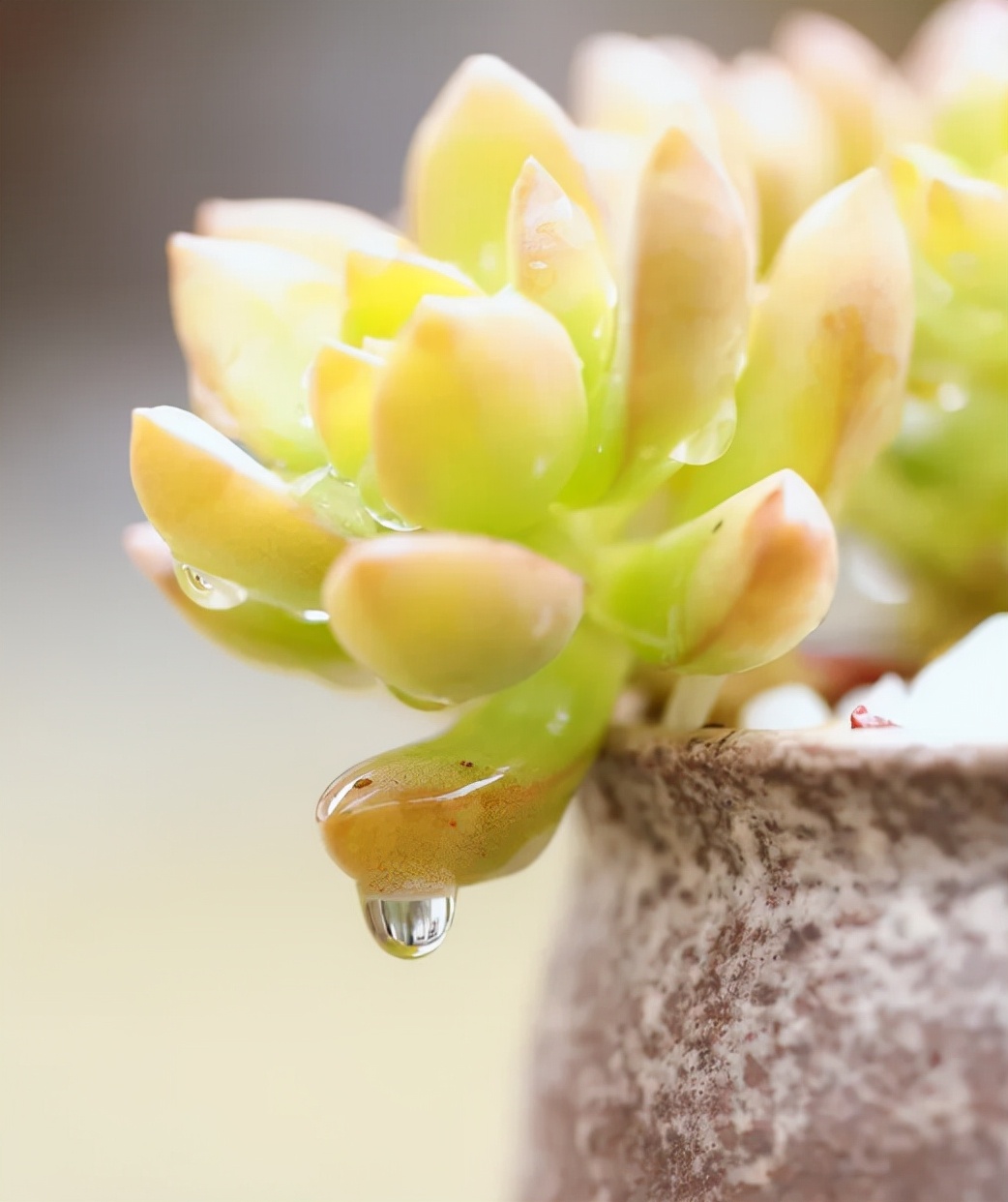 最经典的自嘲诗句,句句戳心的自嘲诗句