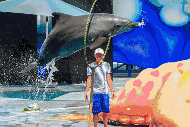 深圳小梅沙海洋世界团购票多少钱,小梅沙海洋世界团购深圳