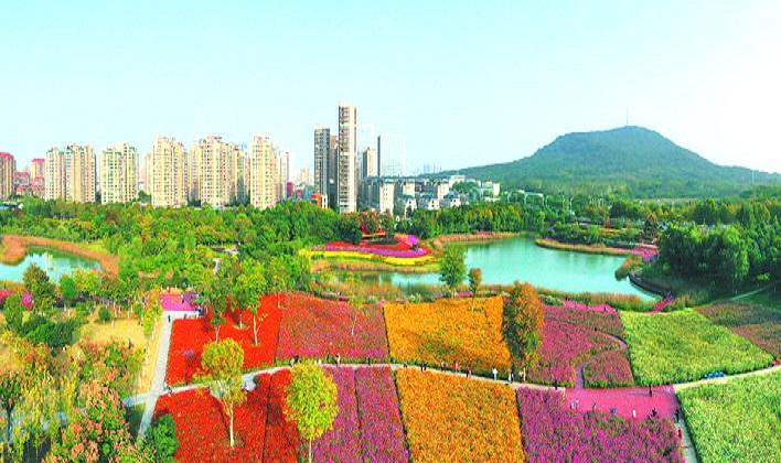 合肥被评为最宜居的城市,西安与合肥哪个宜居