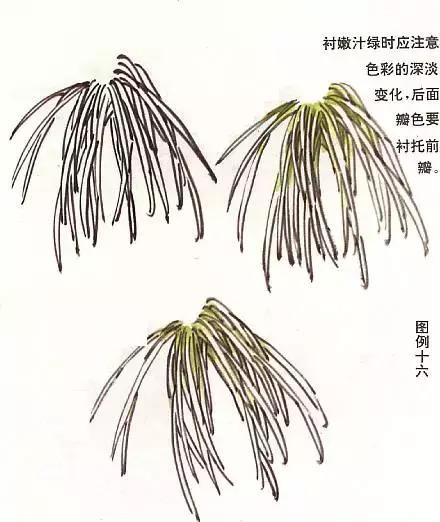 胡玉德菊花国画技法步骤,菊花叶子国画教程