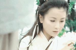 袁洁莹为何息影,袁洁莹巅峰时的美貌