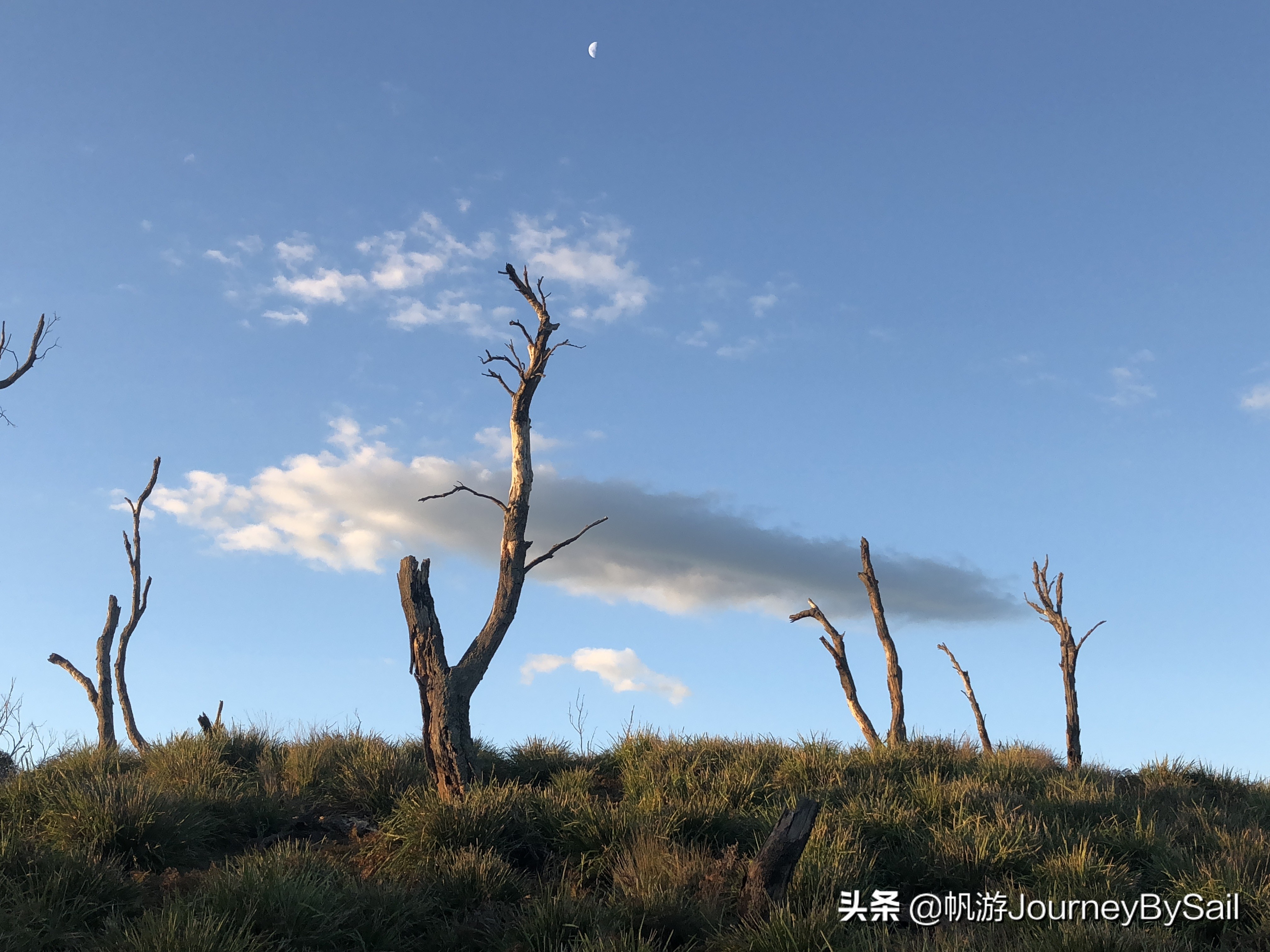 Offshore攻略之船长篇：帆船诗与远方：可实现的的生活方式