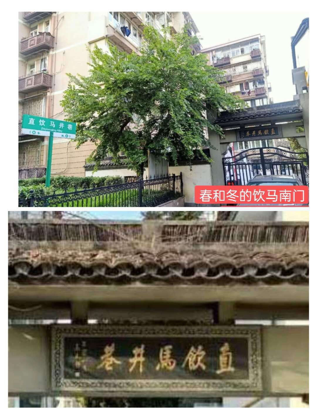 明清著名饮马井巷，似美女深隐杭繁华闹市