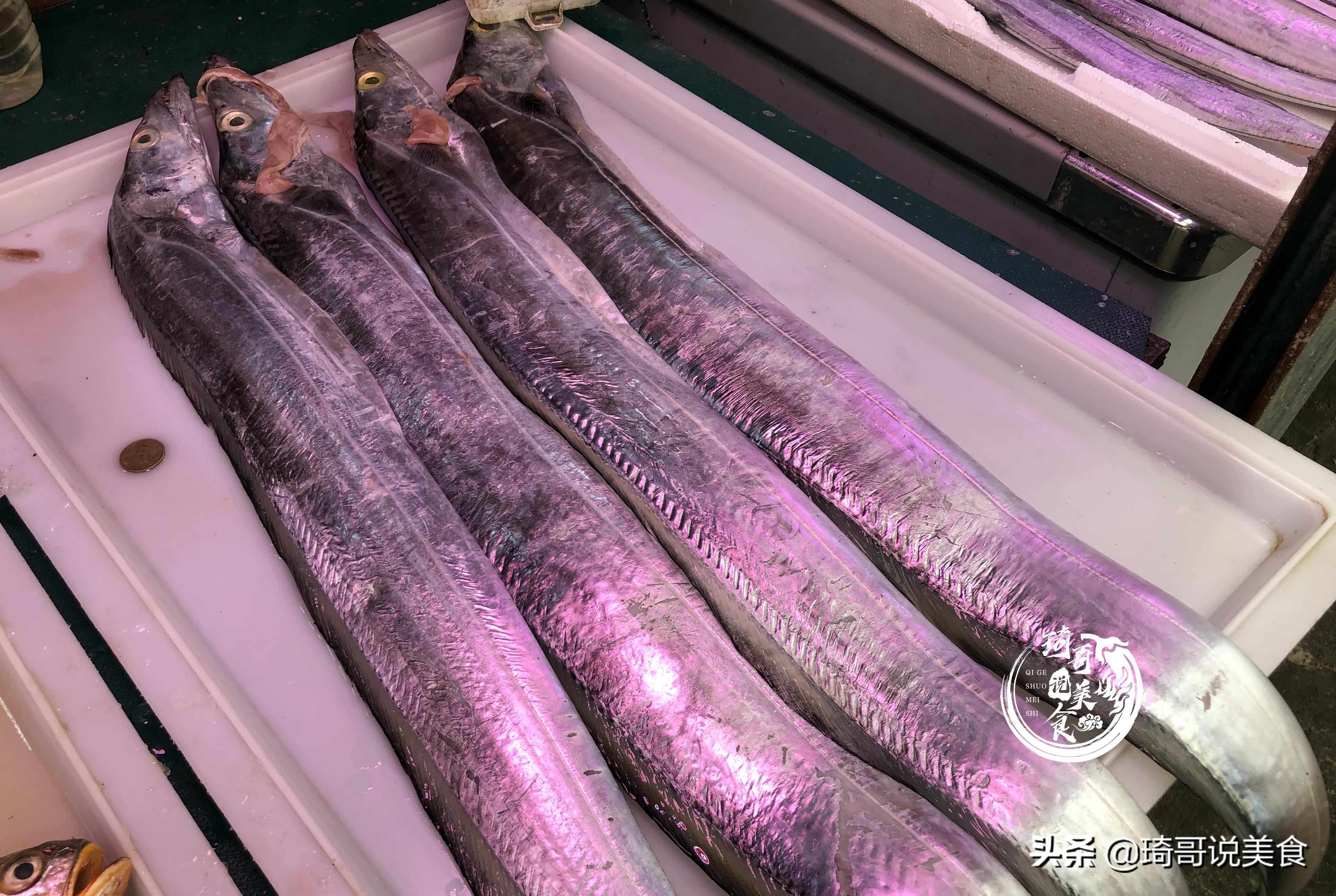 八种好养的野生鱼,哪种鱼又便宜又好养