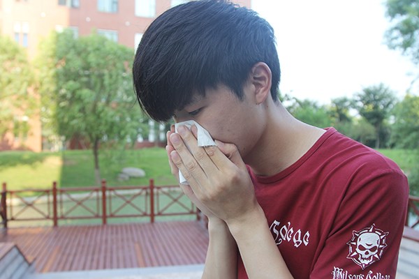 板蓝根预防感冒效果好吗,板蓝根是感冒药吗