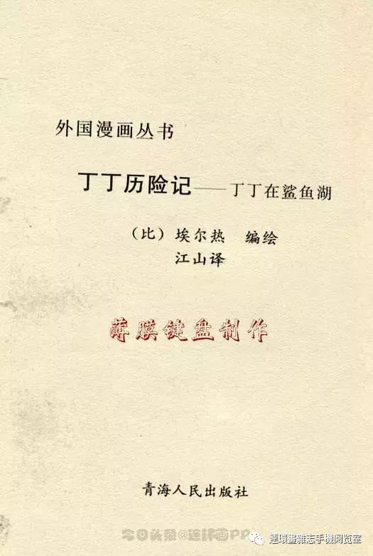 丁丁历险记之丁丁在刚果,丁丁历险记丁丁年龄设定