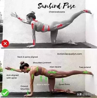 瑜伽虎式的正确方法,瑜伽虎式平衡功效