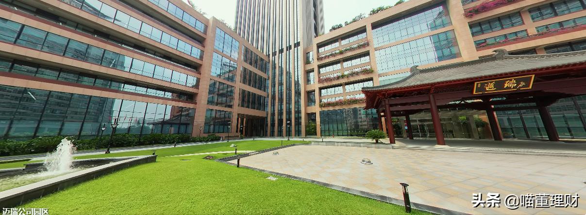 迈瑞医疗是龙头吗,迈瑞医疗中国医疗器械龙头老大