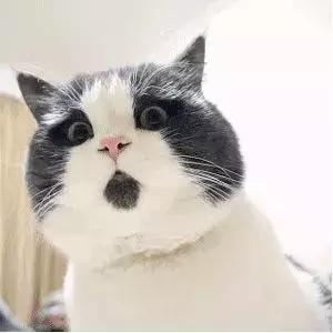 晒太阳能杀死螨虫吗,阳光下暴晒除螨虫效果好吗