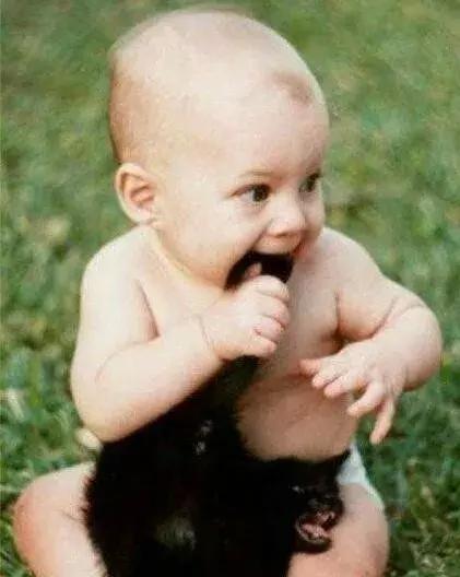 怀孕了还是想养猫猫狗狗怎么办?华西专家:可以养,但绝不能随便养!