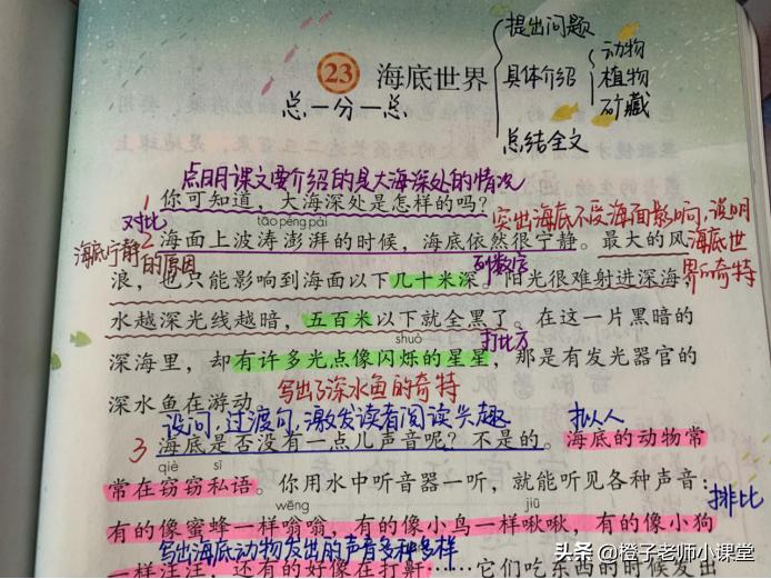 语文三年级下册笔记海底世界,海底世界三年级知识重点